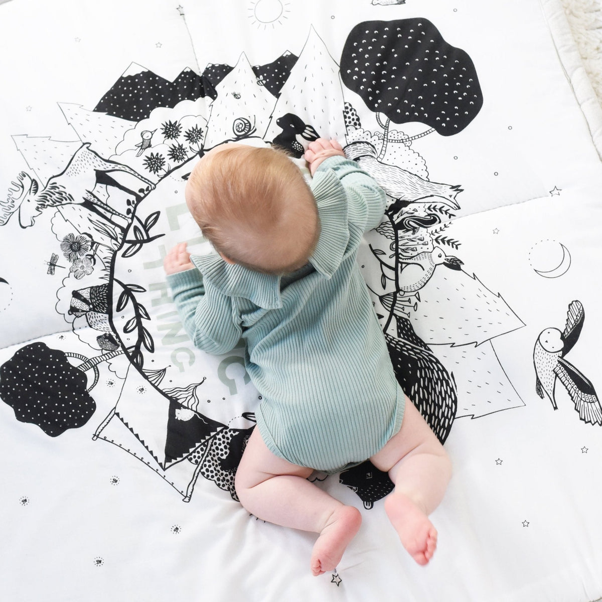 Forest Playmat - The Baby Penguin