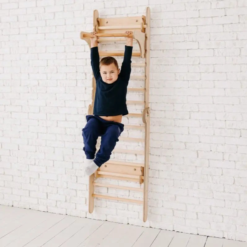 Gym Addition to the Climbing Ladders - The Baby Penguin