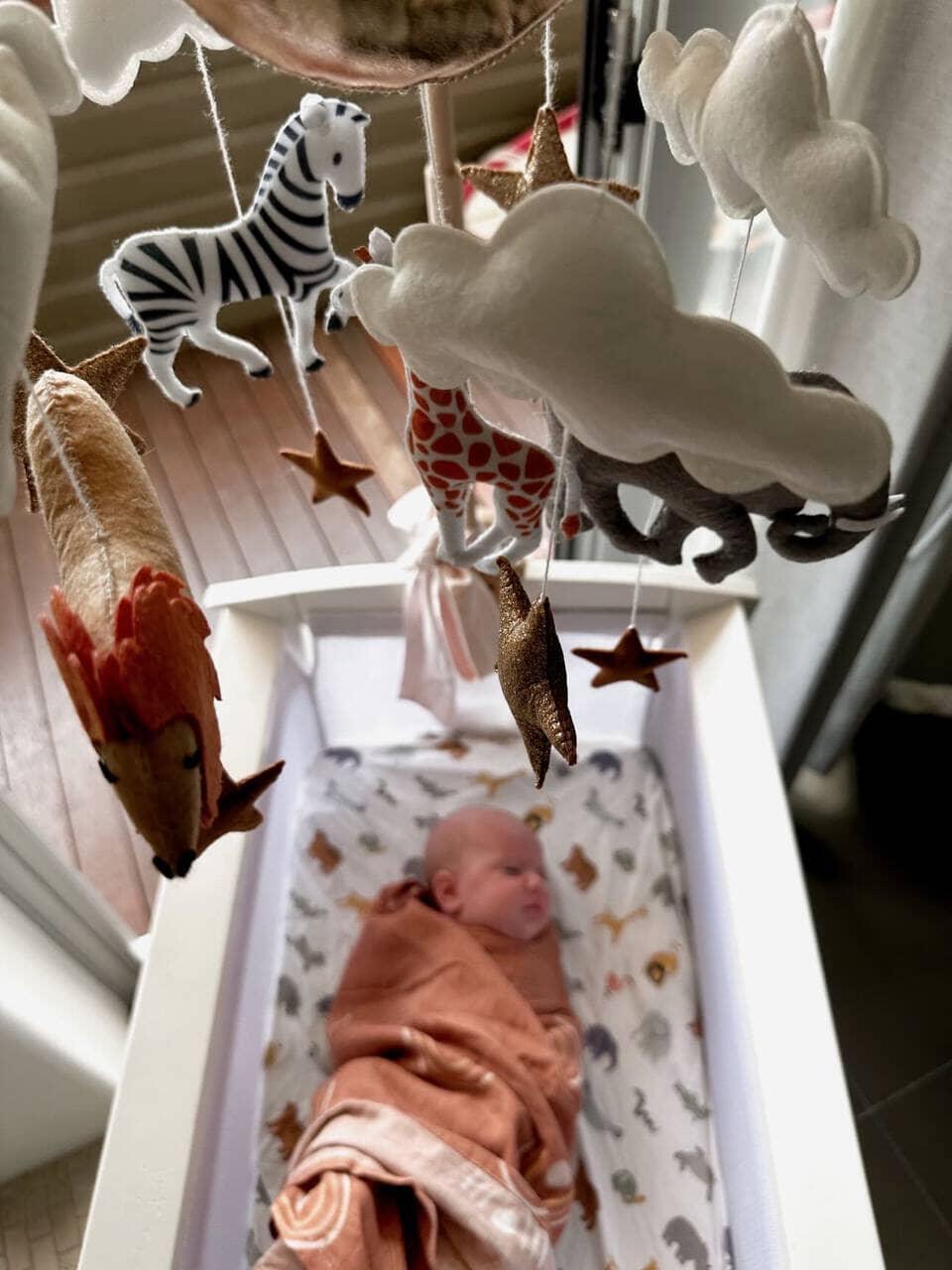 Handmade Baby Mobile |  Safari - The Baby Penguin