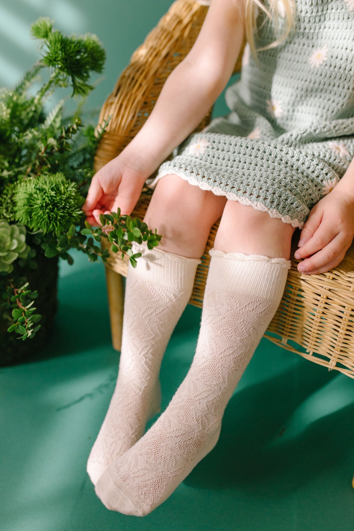 Hoppy Feet Knee High - The Baby Penguin