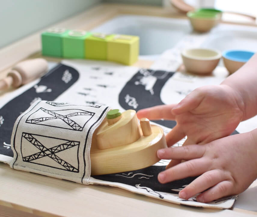 Hudson River Play Mat: "This is one of my very favorites!" - The Baby Penguin