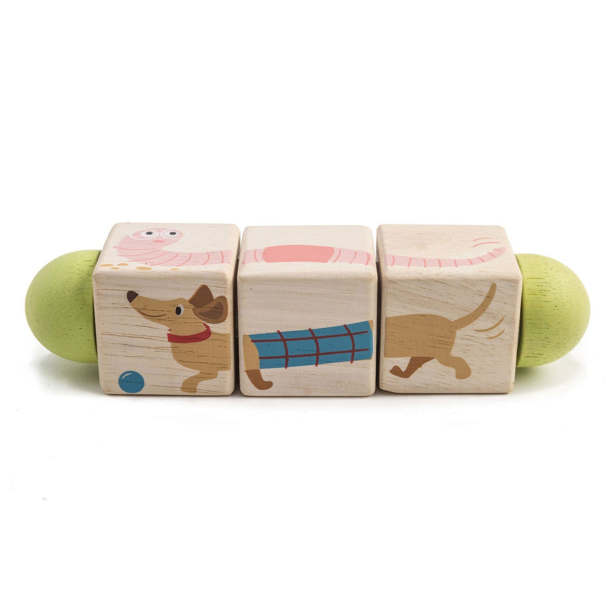 Tender Leaf Toddler Wooden Blocks and Stacker Collection
