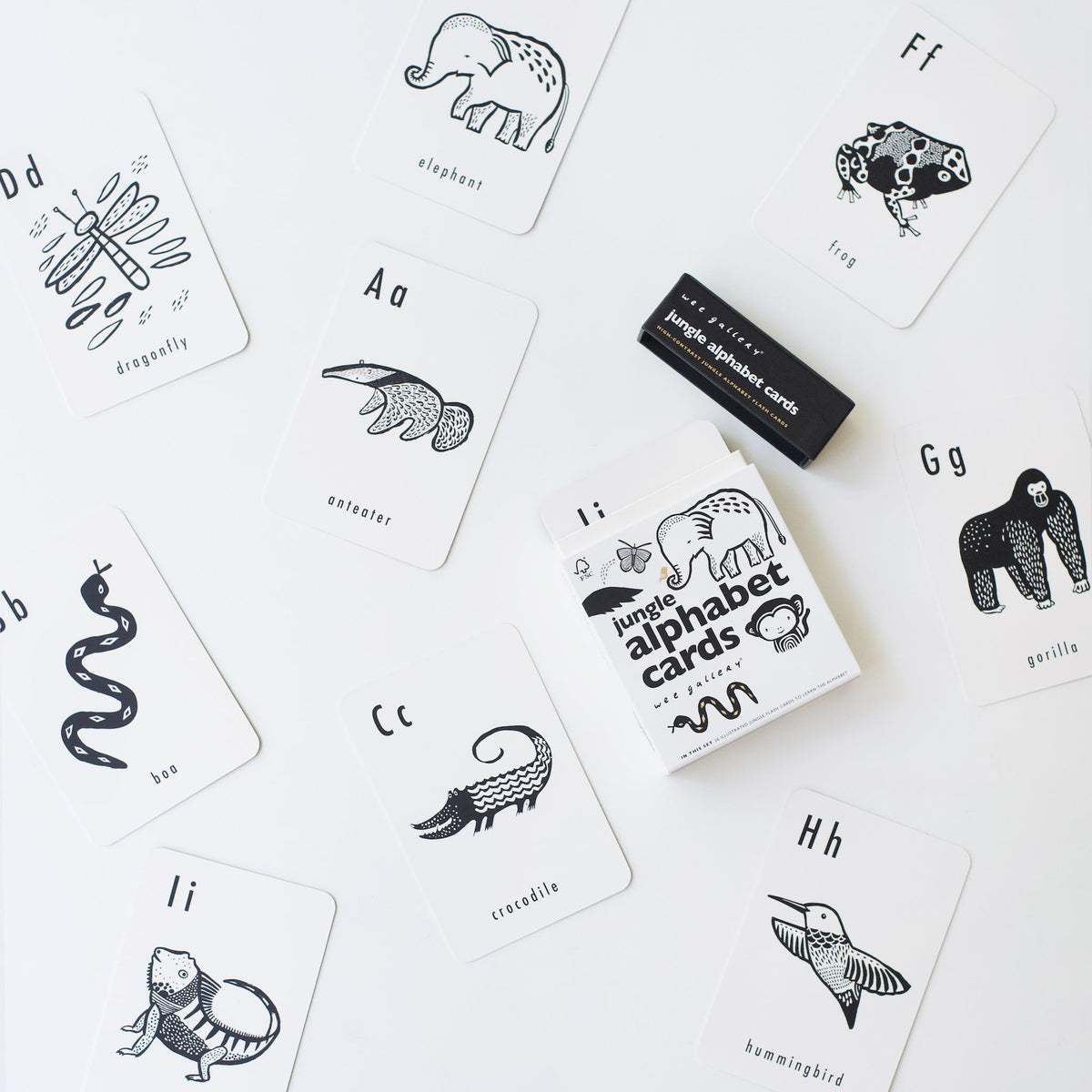 Jungle Alphabet Cards - The Baby Penguin