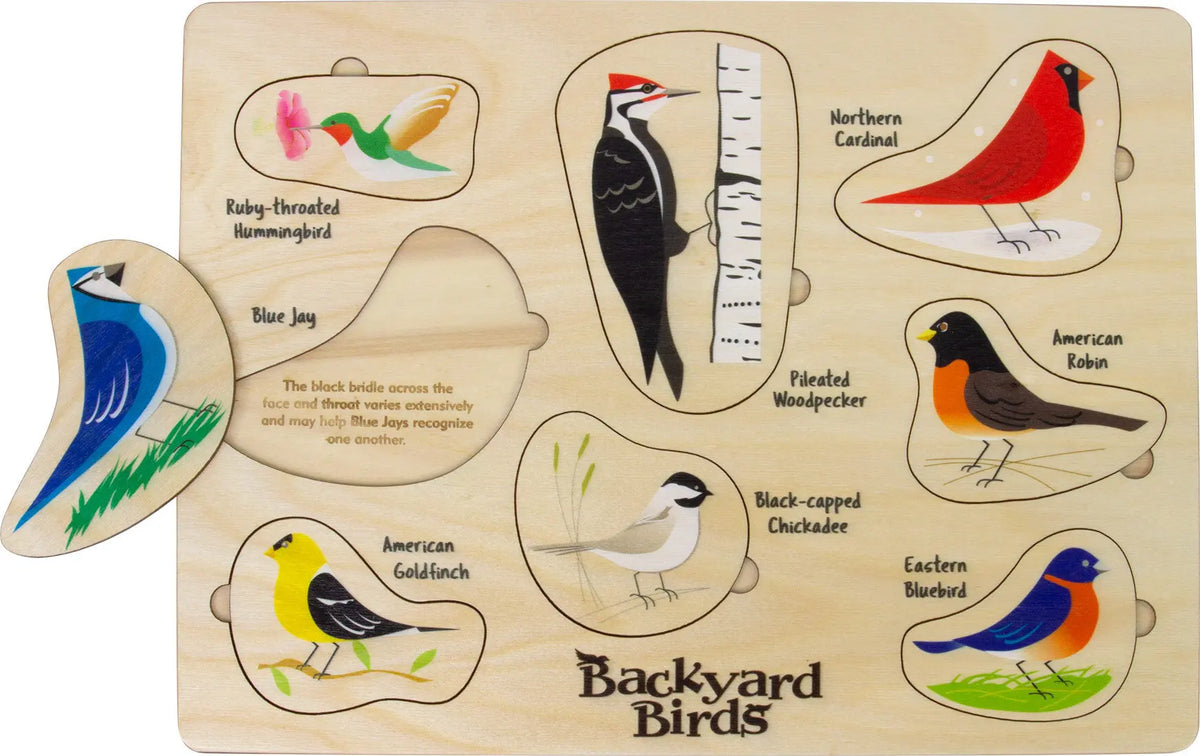 Lift & Learn Birds Puzzle | Sustainable Toy | USA Made