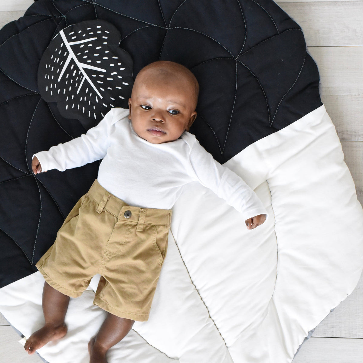 Little Acorn Bundle - The Baby Penguin