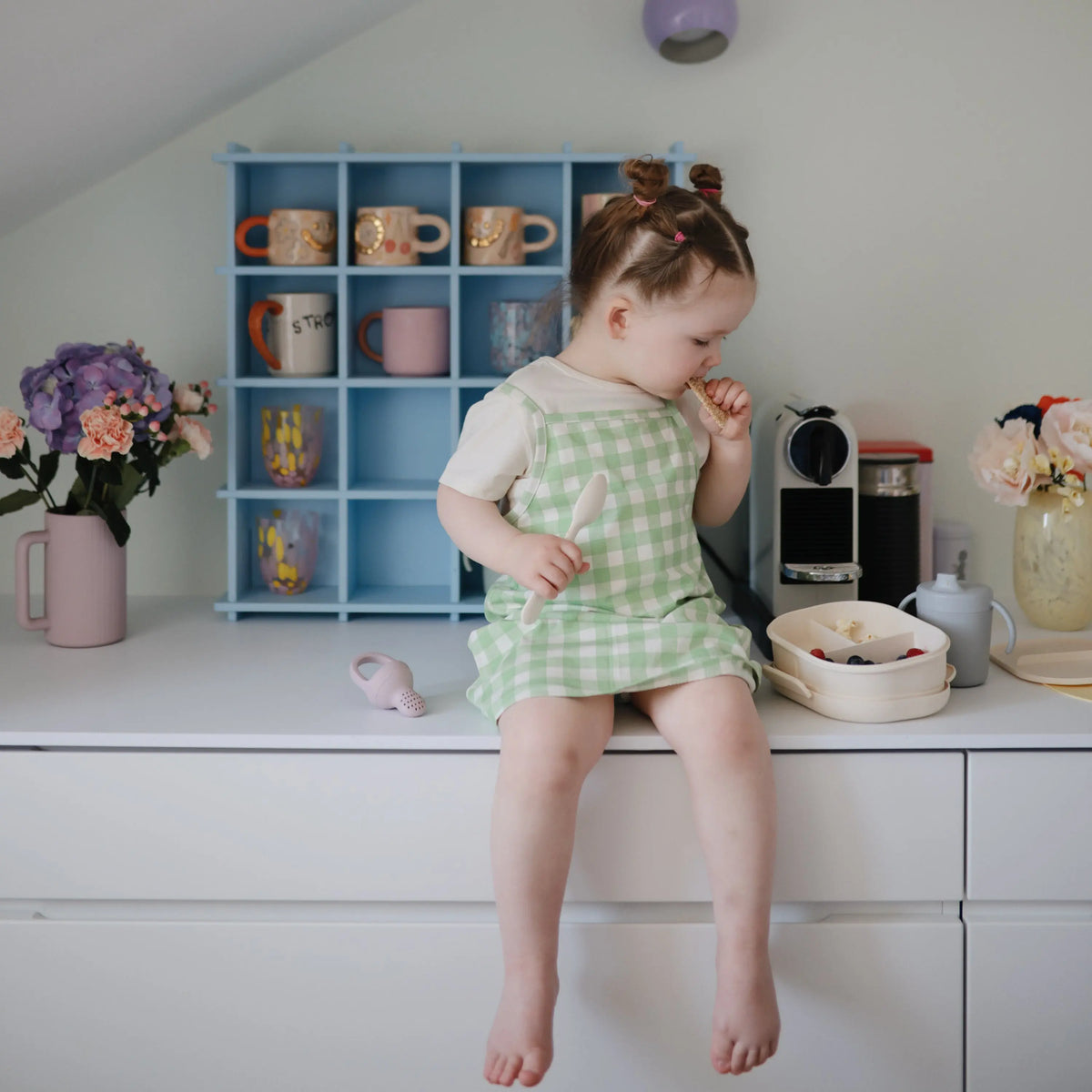 Lunchbox | Lunchbox | The Baby Penguin