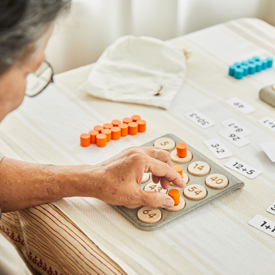 PlanToys Math Bingo Wooden Learning Game