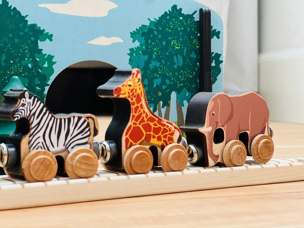 NameTrains Zoe Zebra