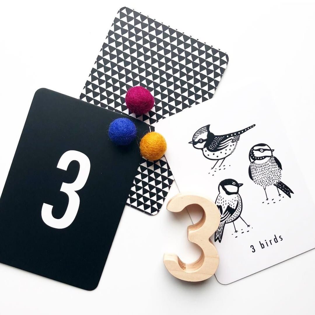 Nature Number Cards - The Baby Penguin