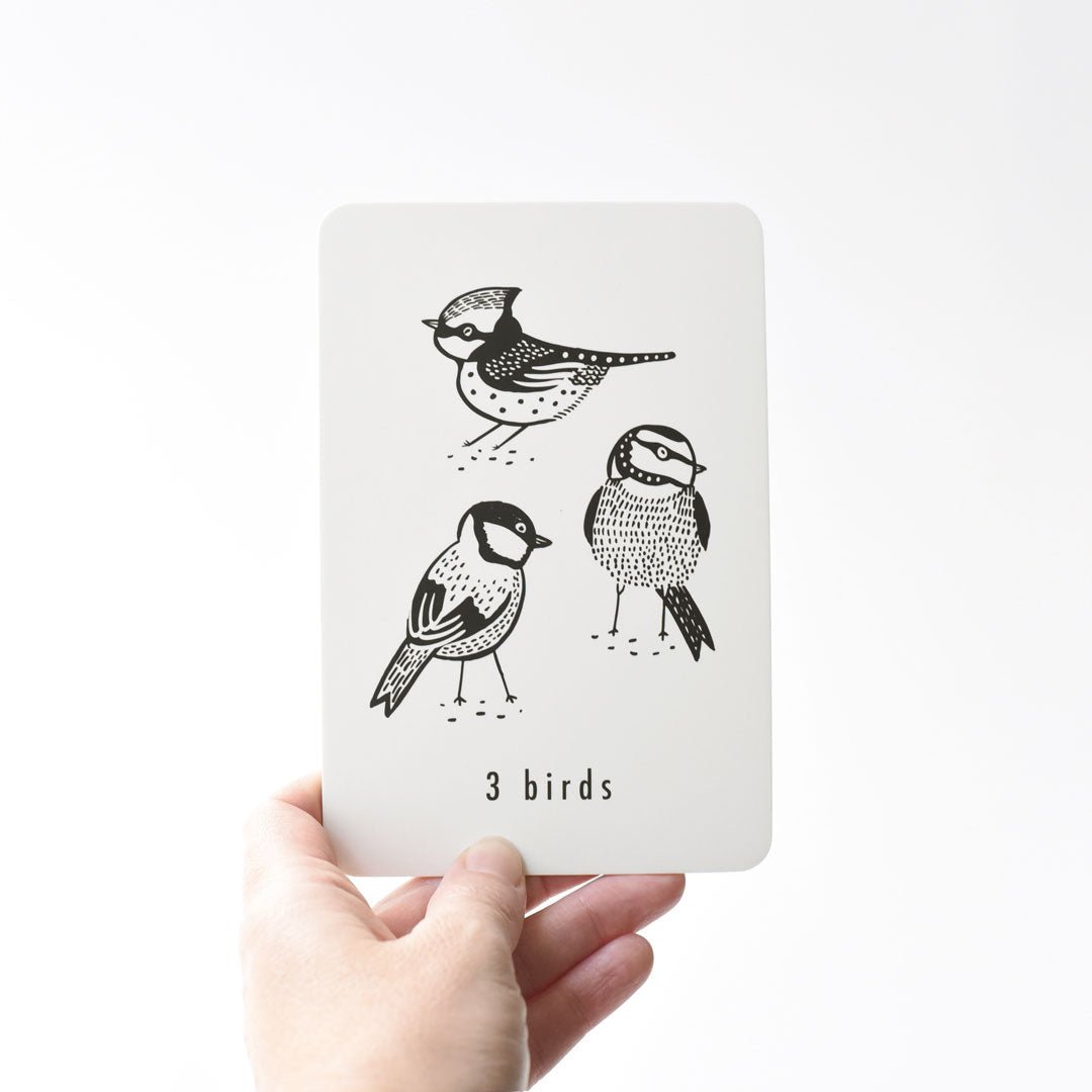 Nature Number Cards - The Baby Penguin
