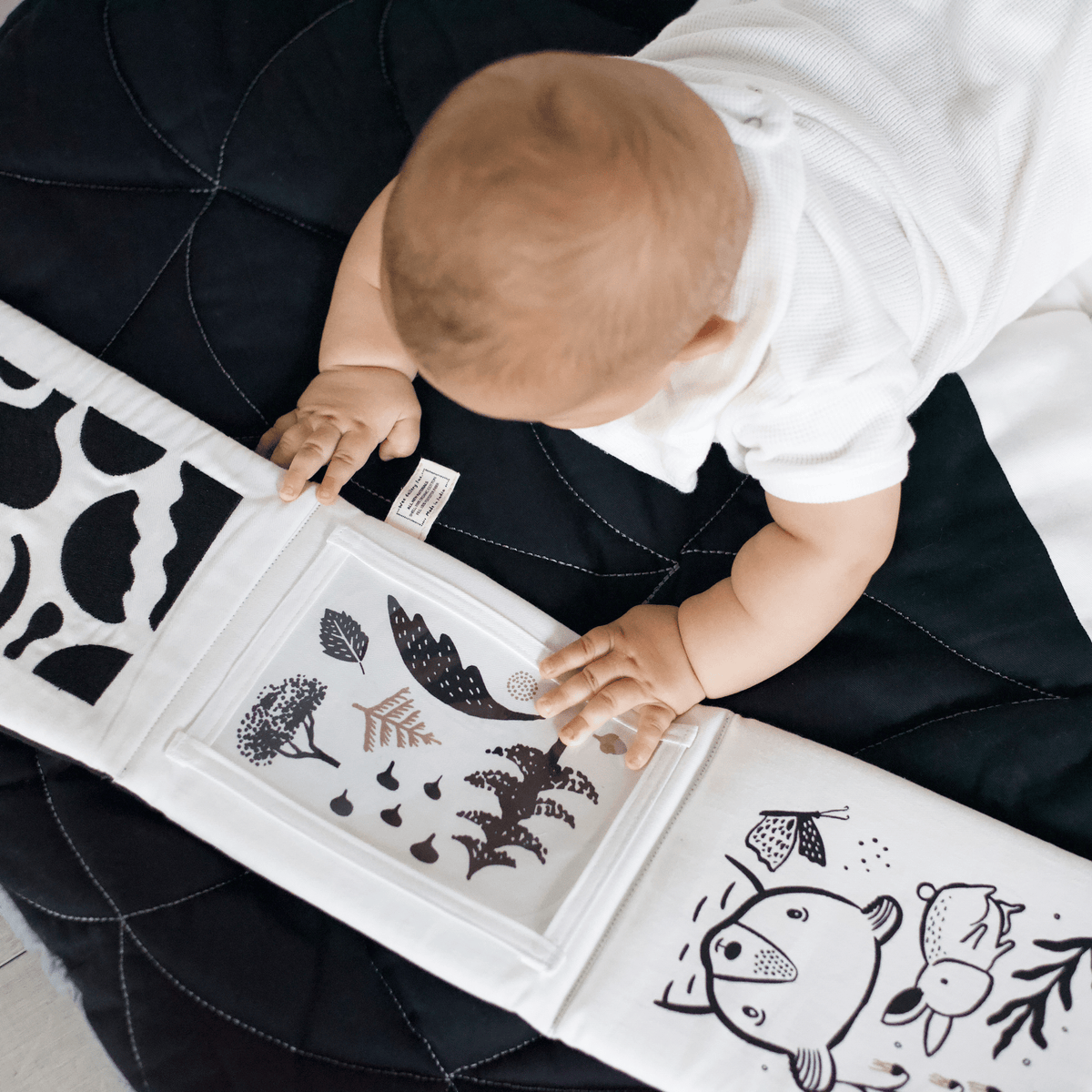 Newborn Baby Gift Set - Baby Animals - The Baby Penguin