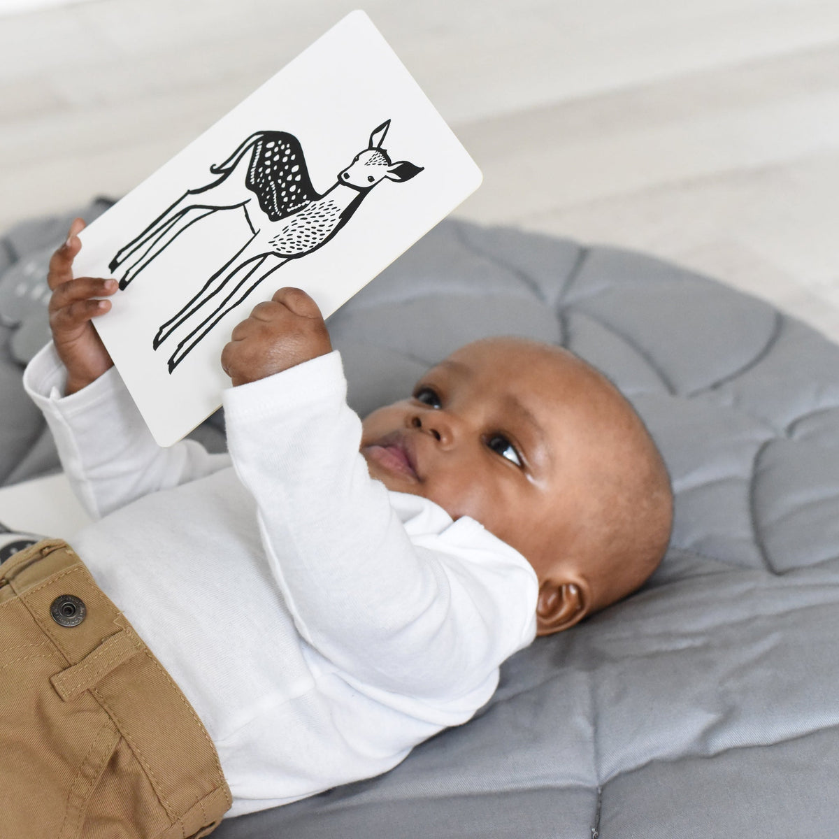 Newborn Baby Gift Set - Baby Animals - The Baby Penguin