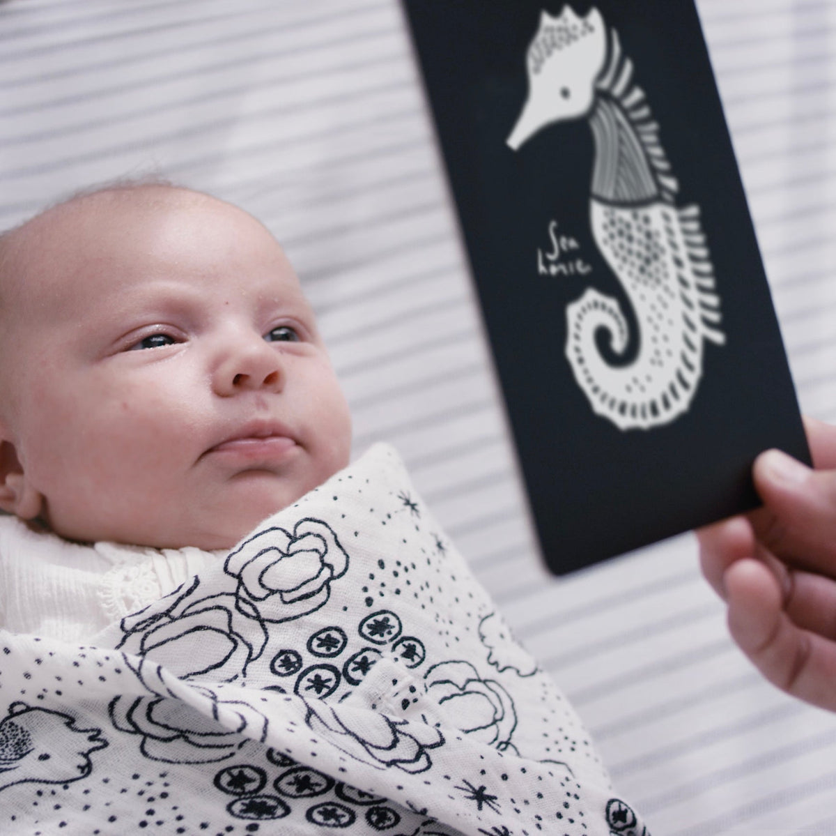 Newborn Baby Gift Set - Ocean - The Baby Penguin