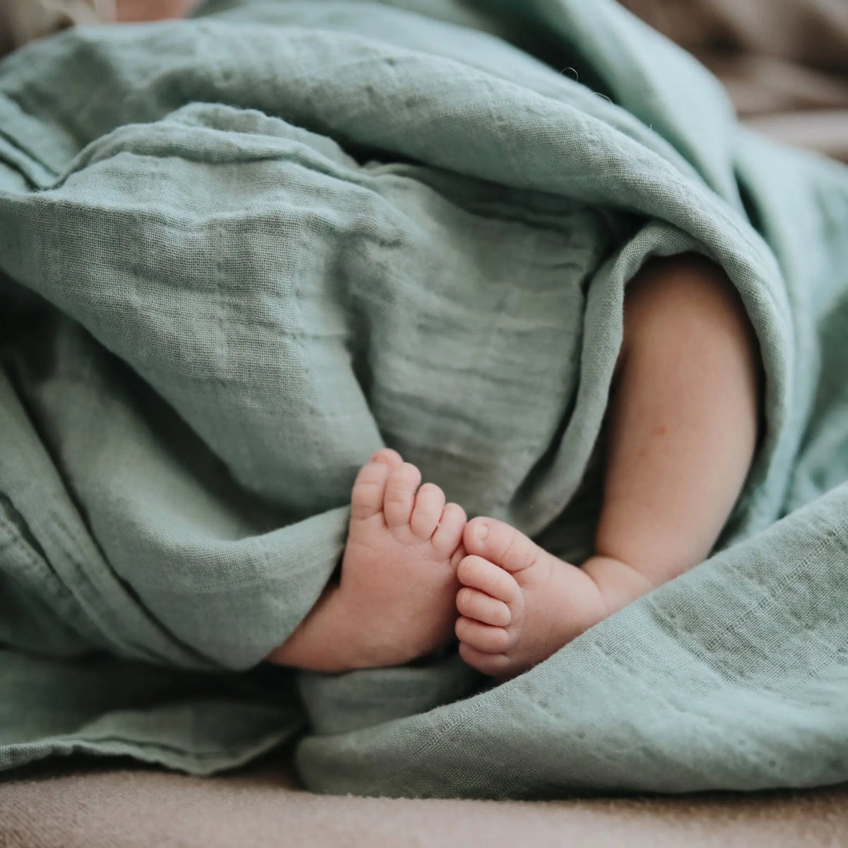 Organic Cotton Muslin Swaddle Blanket | Swaddle | The Baby Penguin