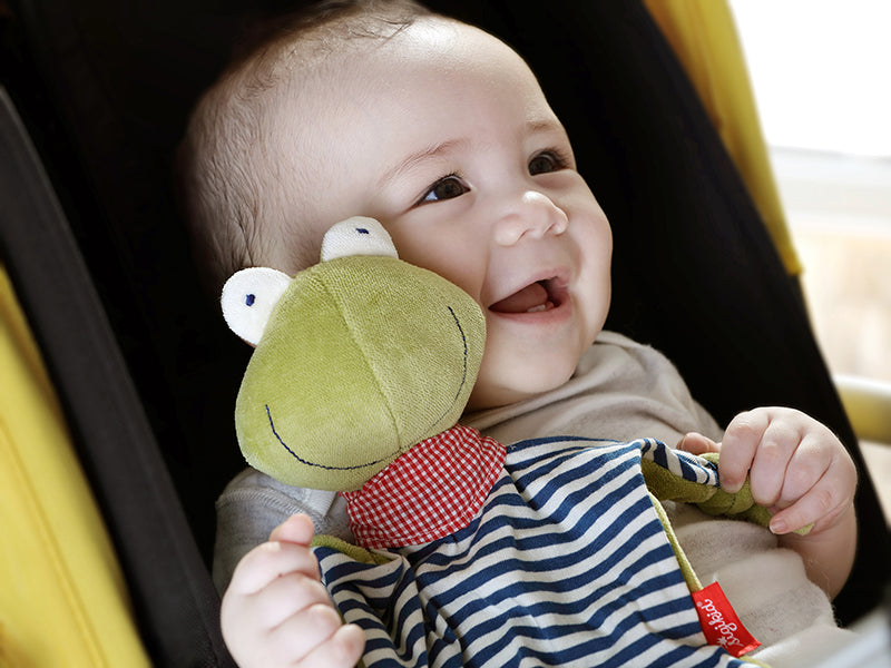Organic Frog Blankie | Organic Toys | The Baby Penguin