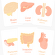 Sticky Image