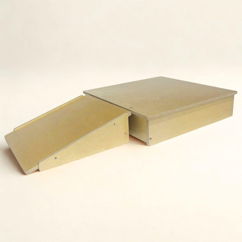 Platform and Ramp - The Baby Penguin