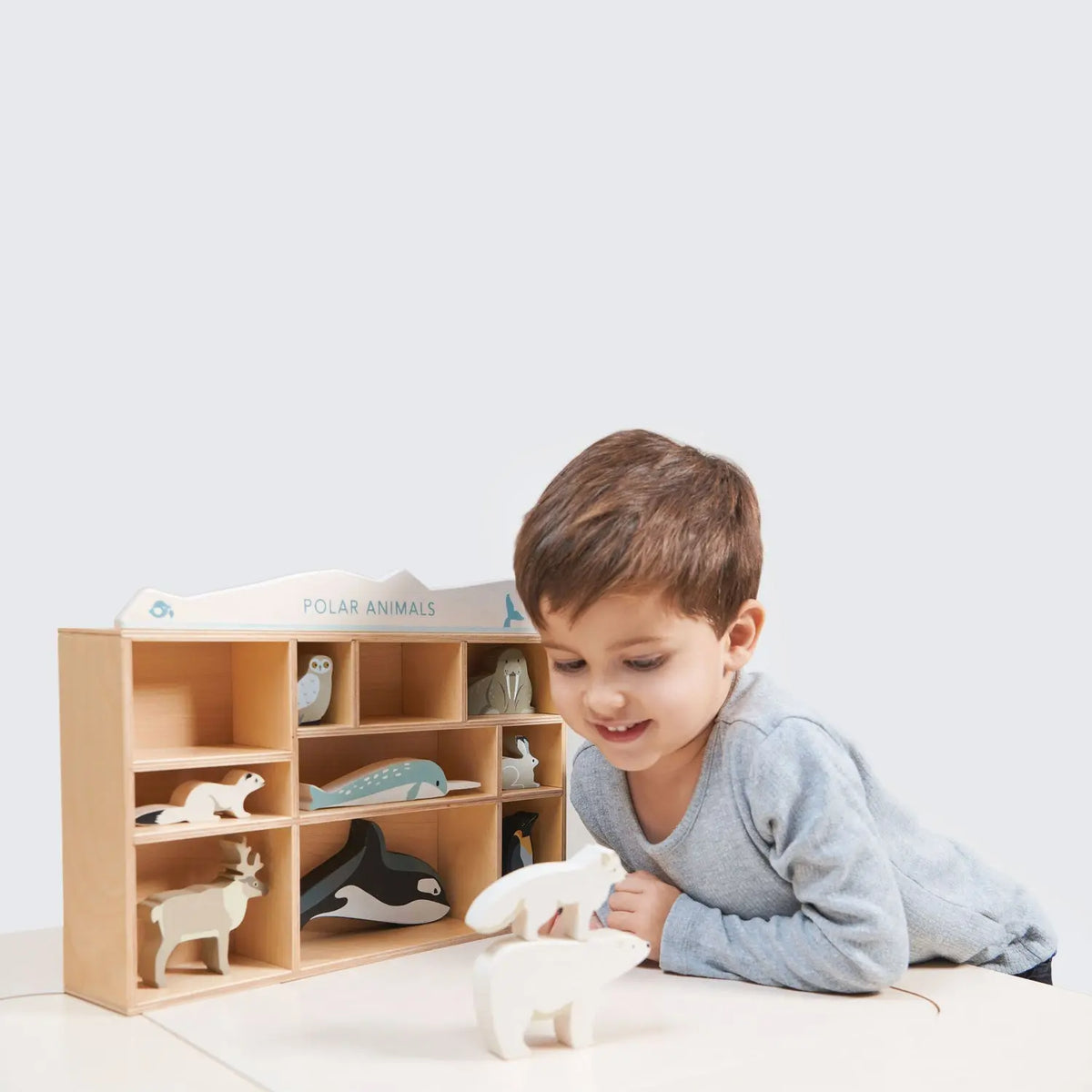 Tender Leaf Polar Wooden Animals with Display Shelf