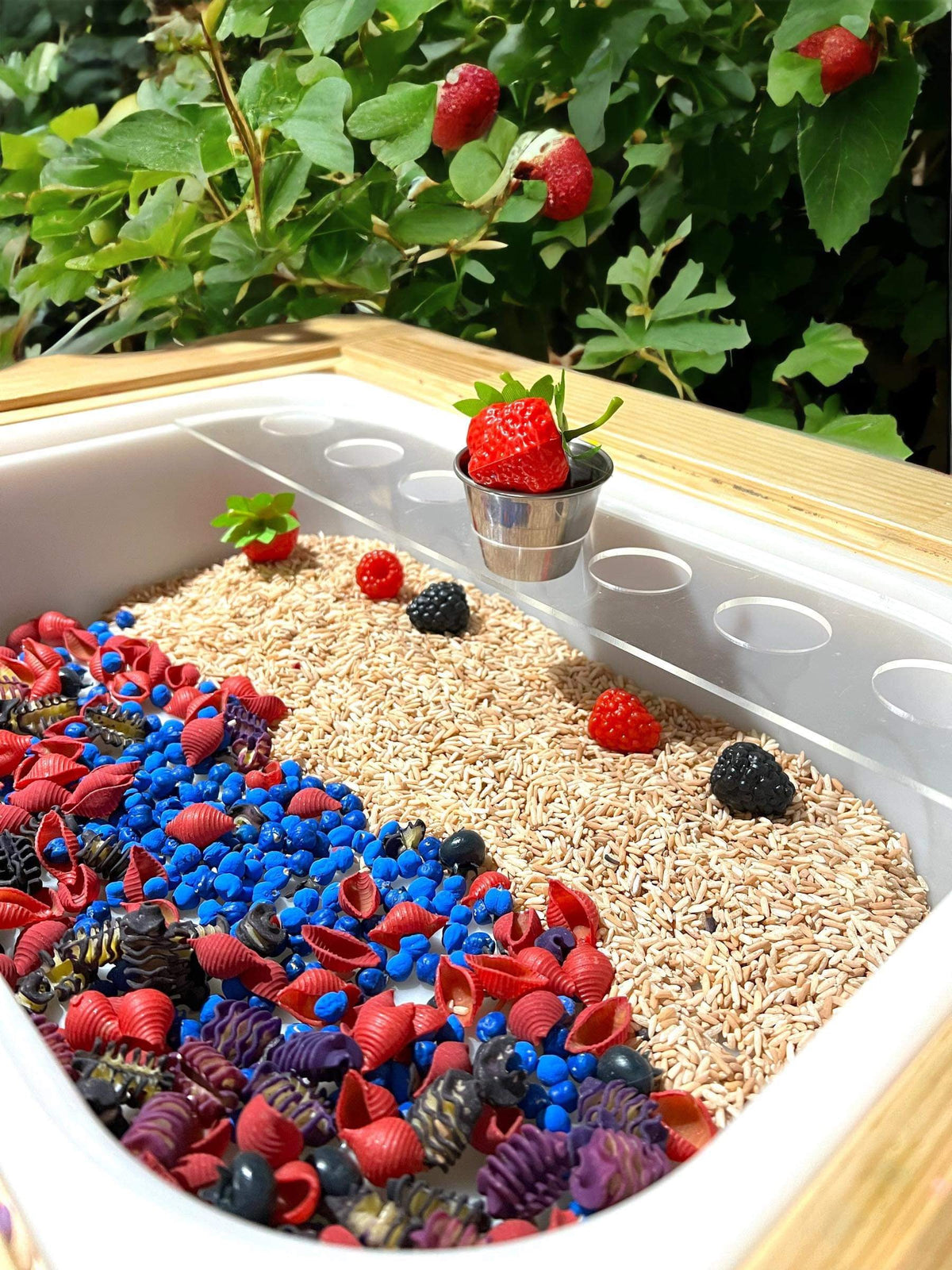 Wooden 10-hole sensory bin insert in use with berries and grains