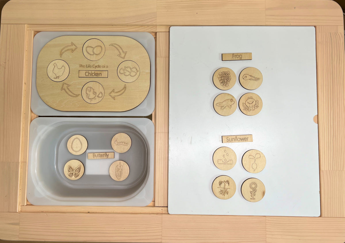 Life cycle activity board set with removable pieces