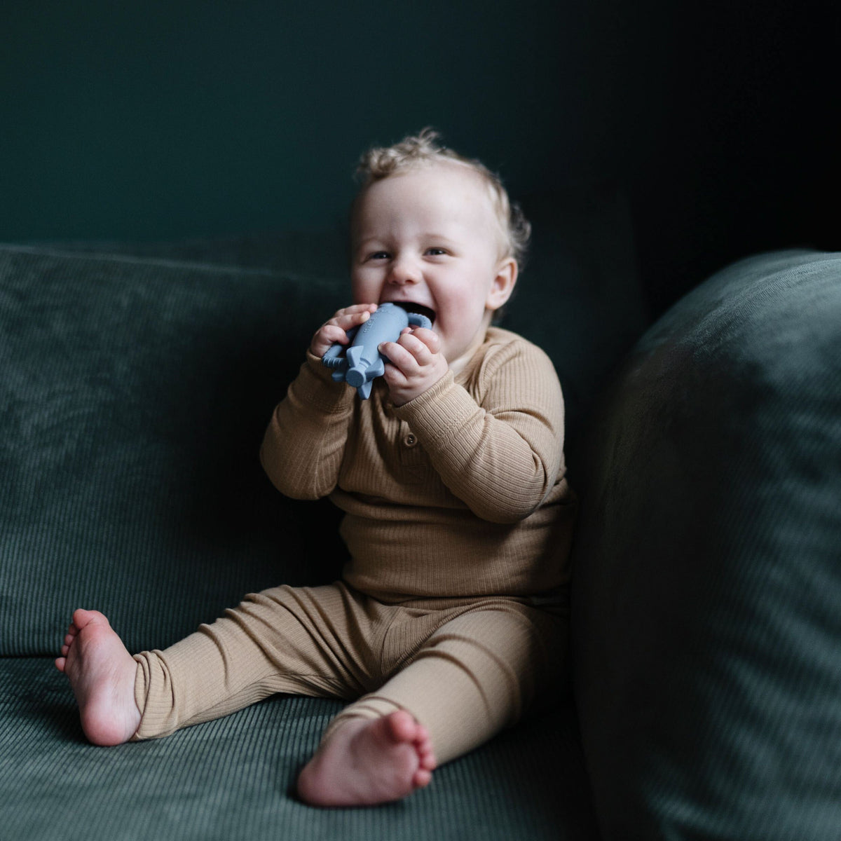 Rattle Teethers - The Baby Penguin