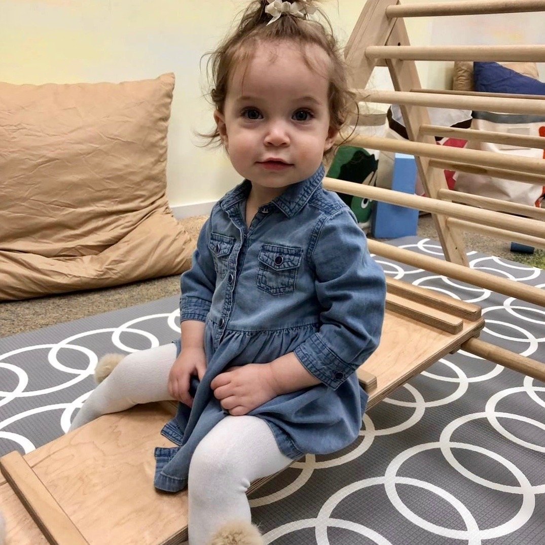Reversible Climbing Ramp - The Baby Penguin