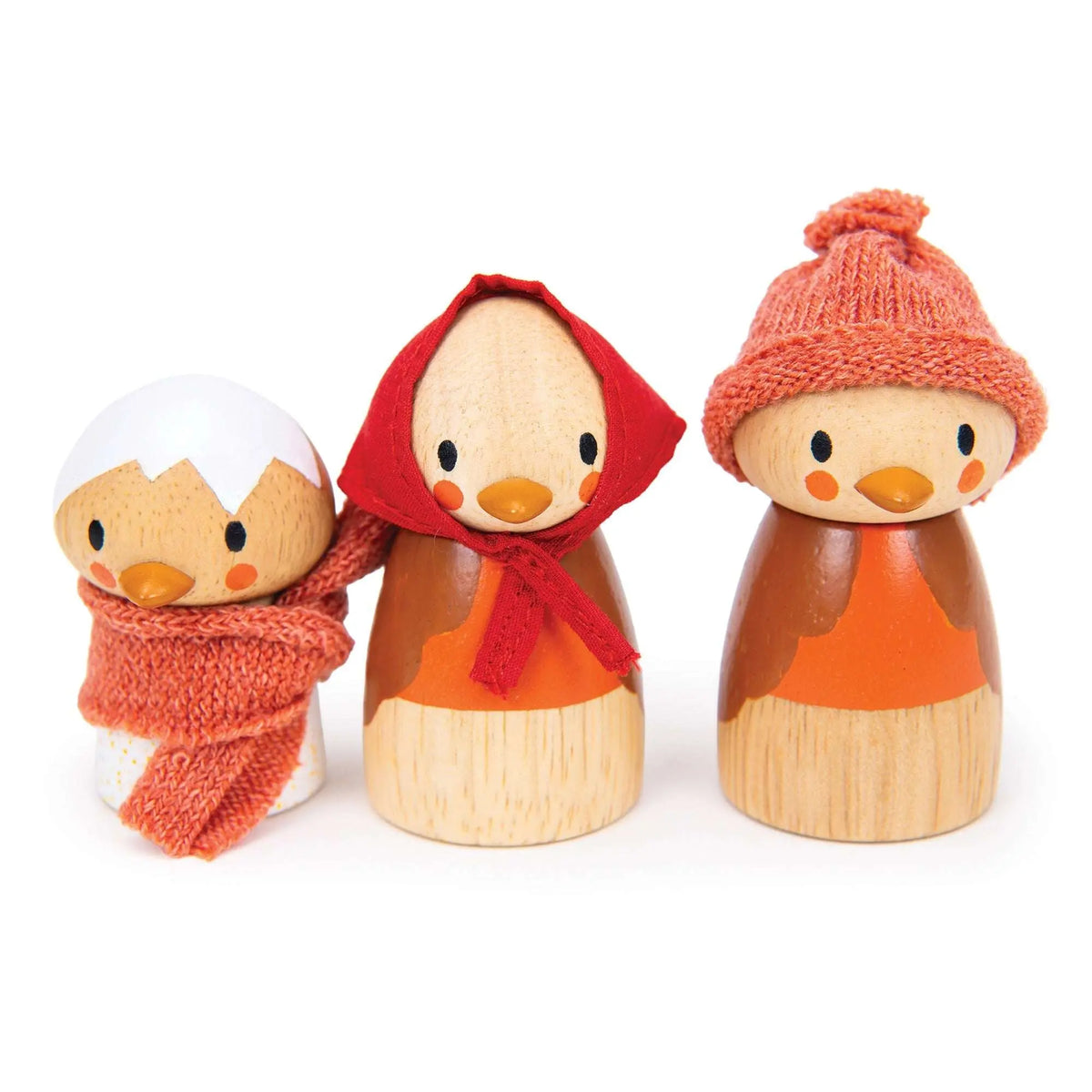 Tender Leaf Robin's Nest Box Wooden Bird Play Set