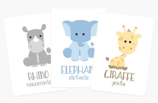 Safari Animal Flashcards - The Baby Penguin