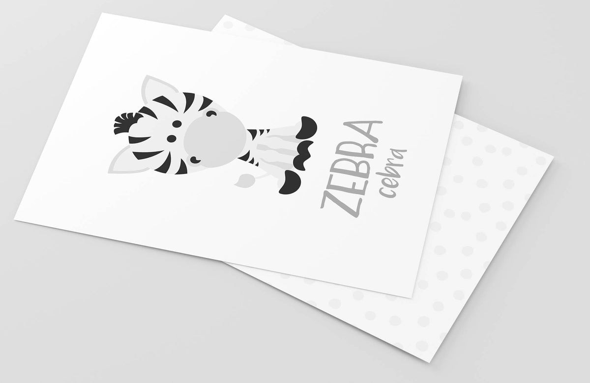 Safari Animal Flashcards - The Baby Penguin
