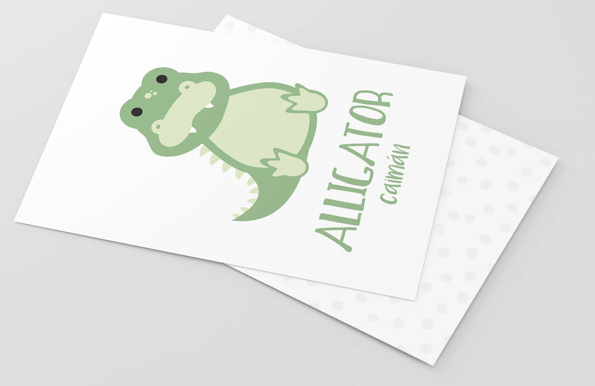 Safari Animal Flashcards - The Baby Penguin