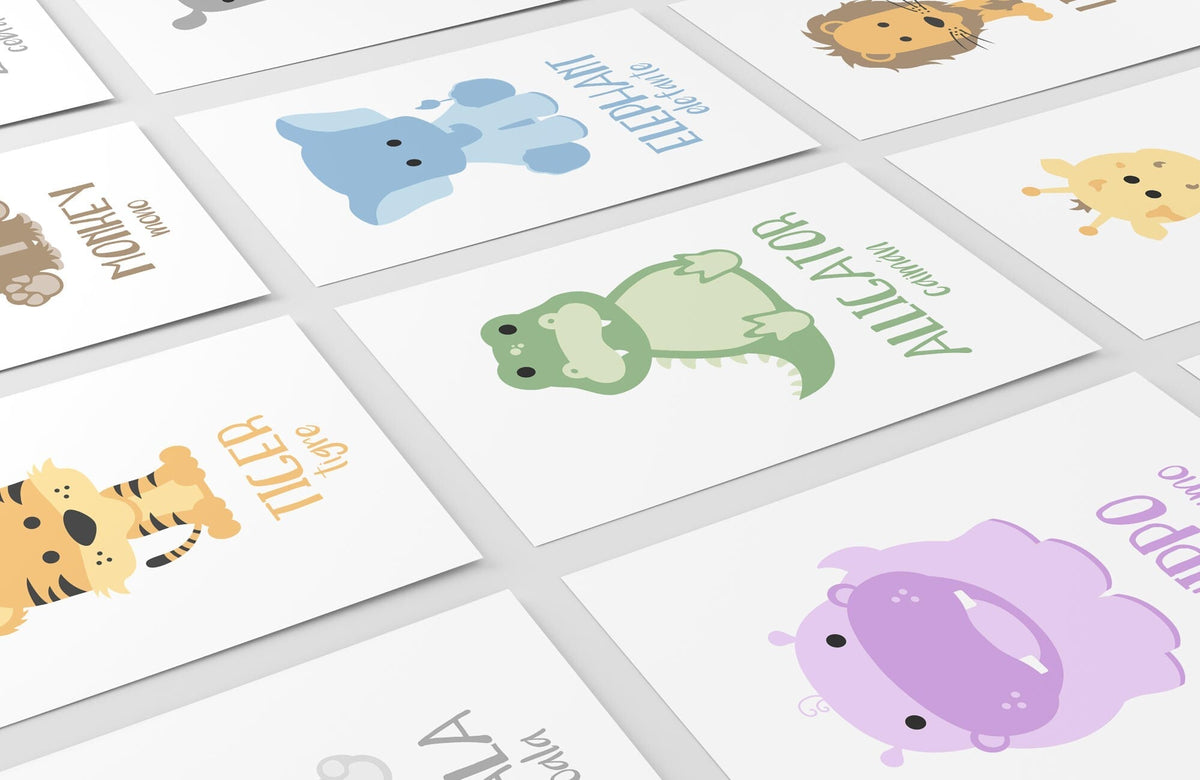 Safari Animal Flashcards - The Baby Penguin