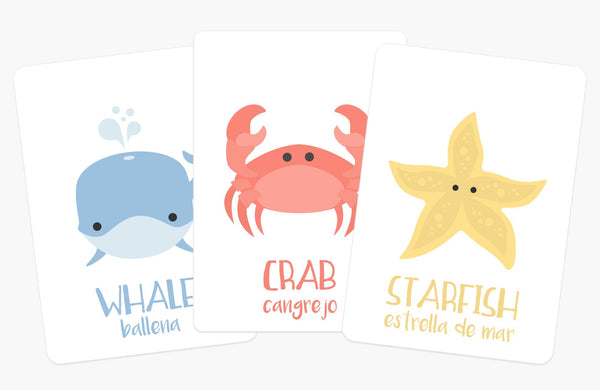 Sea Animals Flashcards - The Baby Penguin