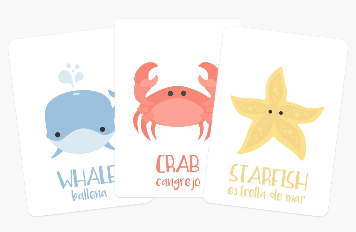 Sea Animals Flashcards - The Baby Penguin