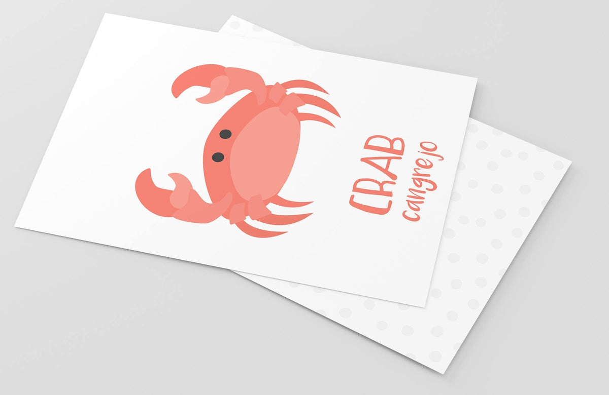 Sea Animals Flashcards - The Baby Penguin