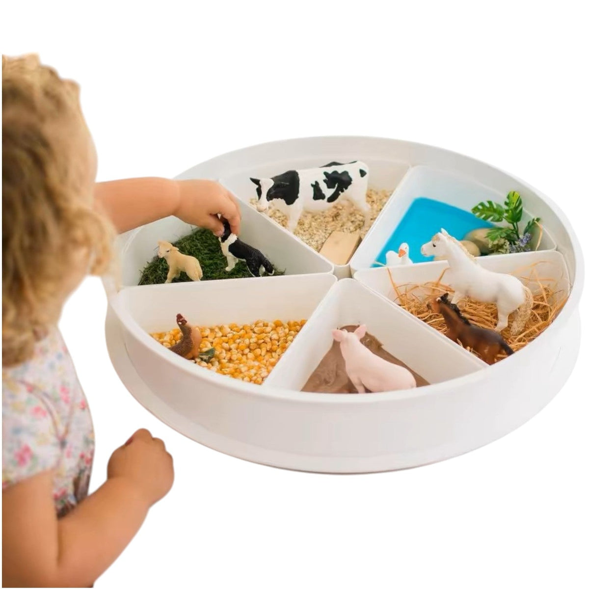 Sensory Play Tray with 6 Compartments & Lid – additional product photo 7