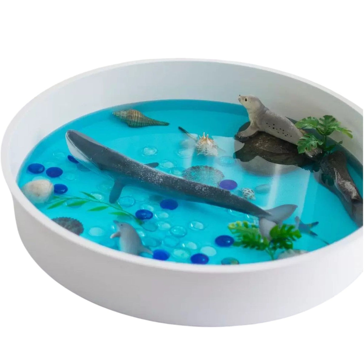 Sensory Play Tray with 6 Compartments & Lid – additional product photo 8