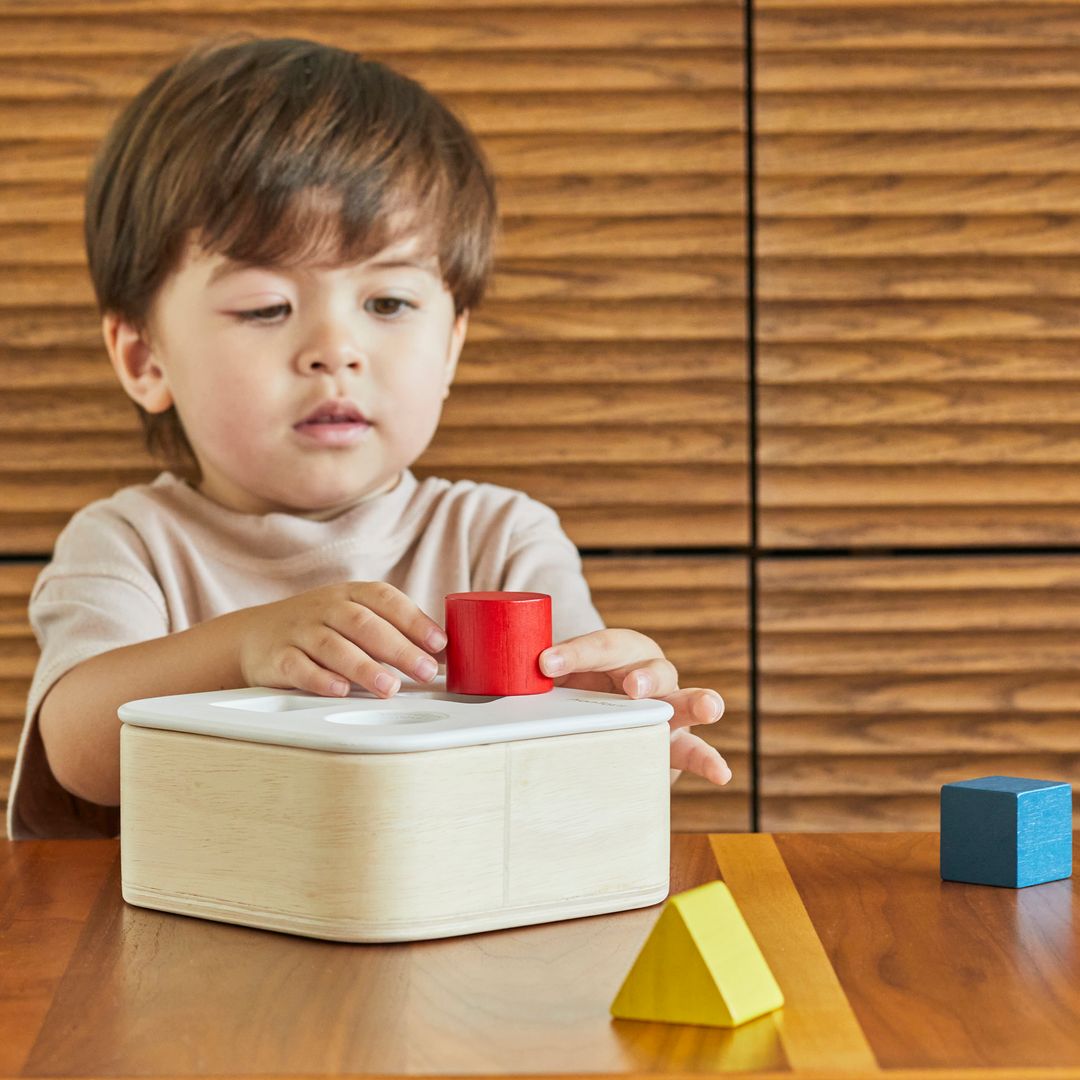 PlanToys Wooden Shape and Sort It Out Bin