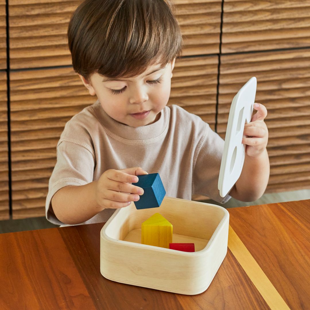 PlanToys Wooden Shape and Sort It Out Bin