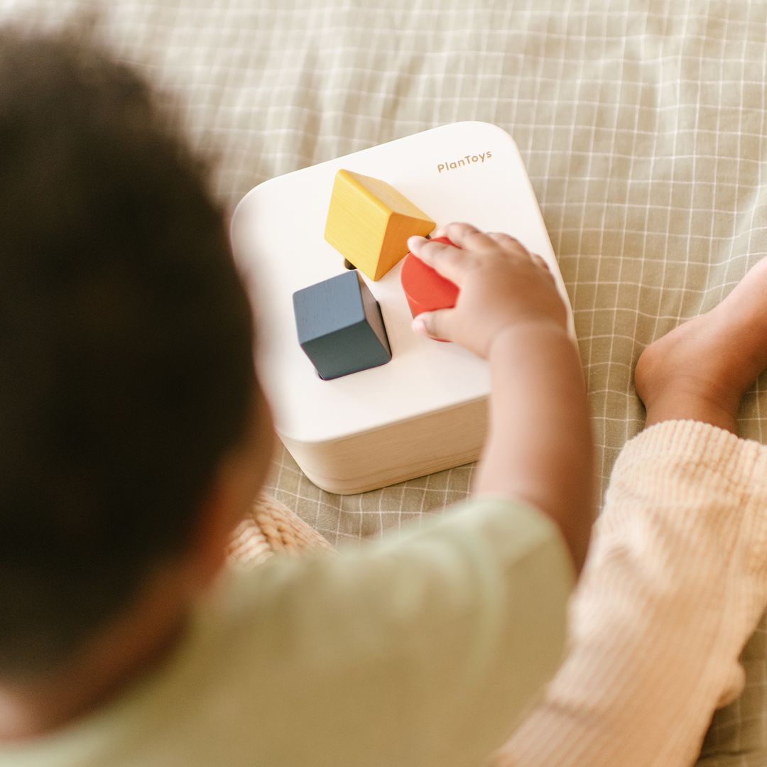 PlanToys Wooden Shape and Sort It Out Bin