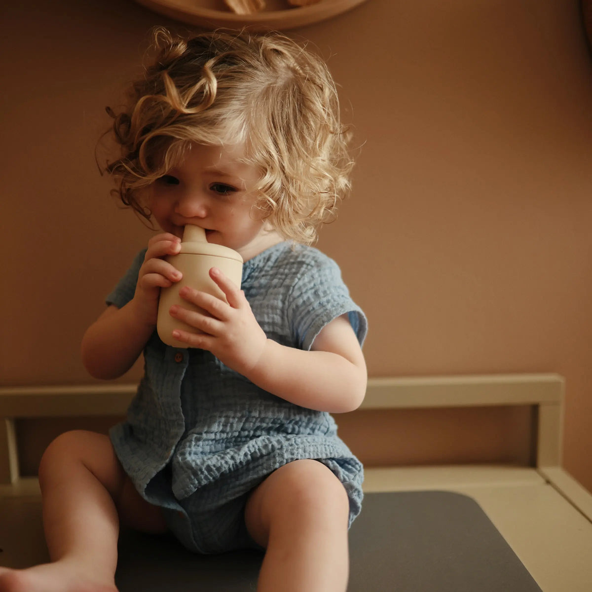 Silicone Sippy Cup | Silicone Sippy Cup | The Baby Penguin