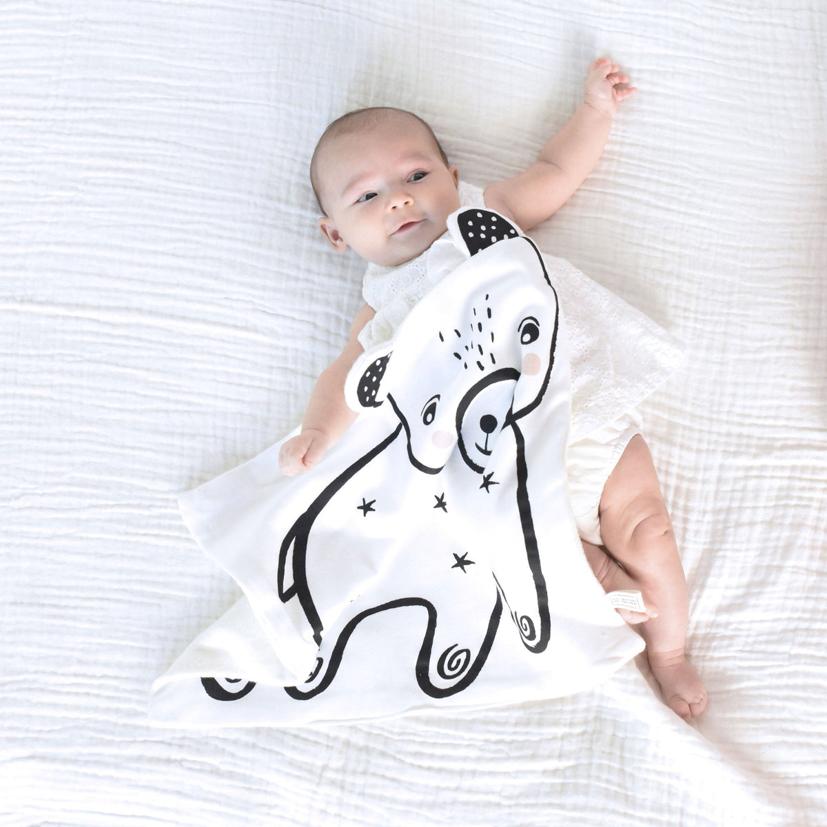 Stars Snuggle Bundle - The Baby Penguin