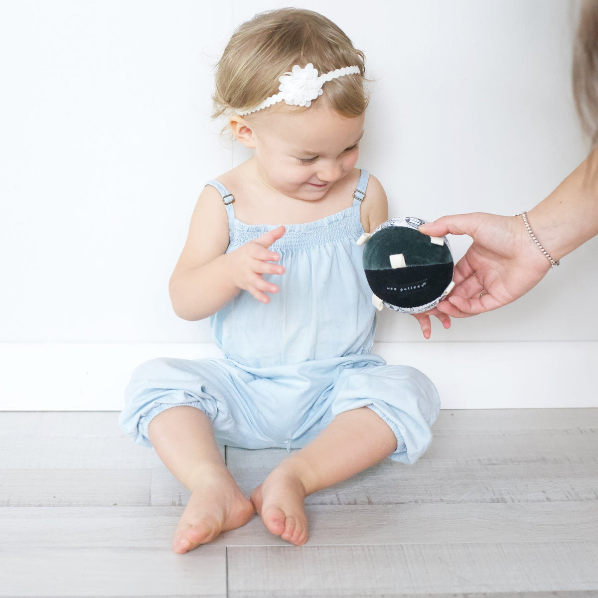 Taggy Ball with Rattle - Wild - The Baby Penguin
