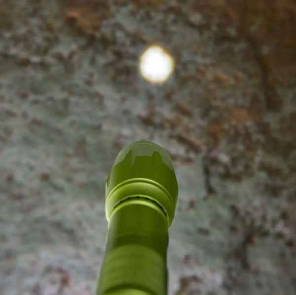 Terra Kids 4-Way Flashlight | Terra Kids | The Baby Penguin