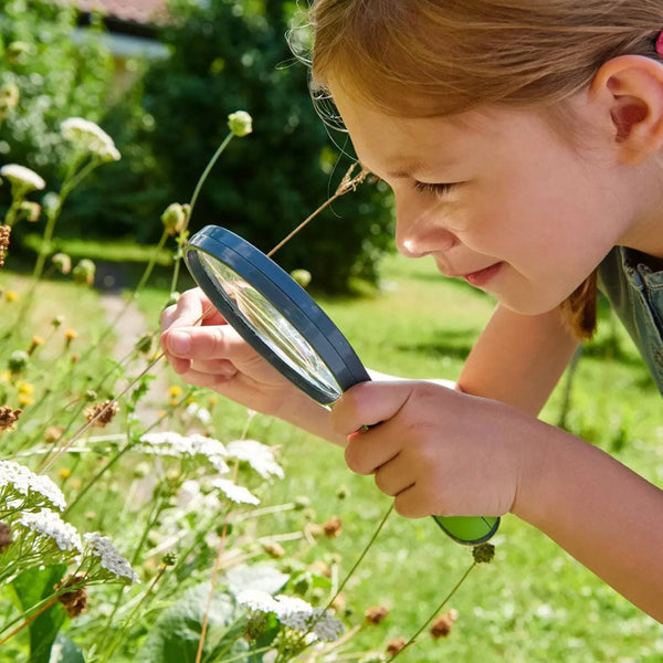 Terra Kids Magnifier | Terra Kids | The Baby Penguin