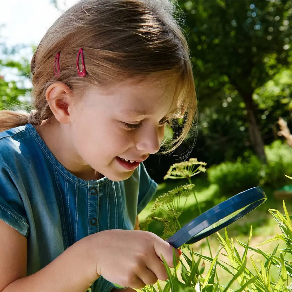 Terra Kids Magnifier | Terra Kids | The Baby Penguin