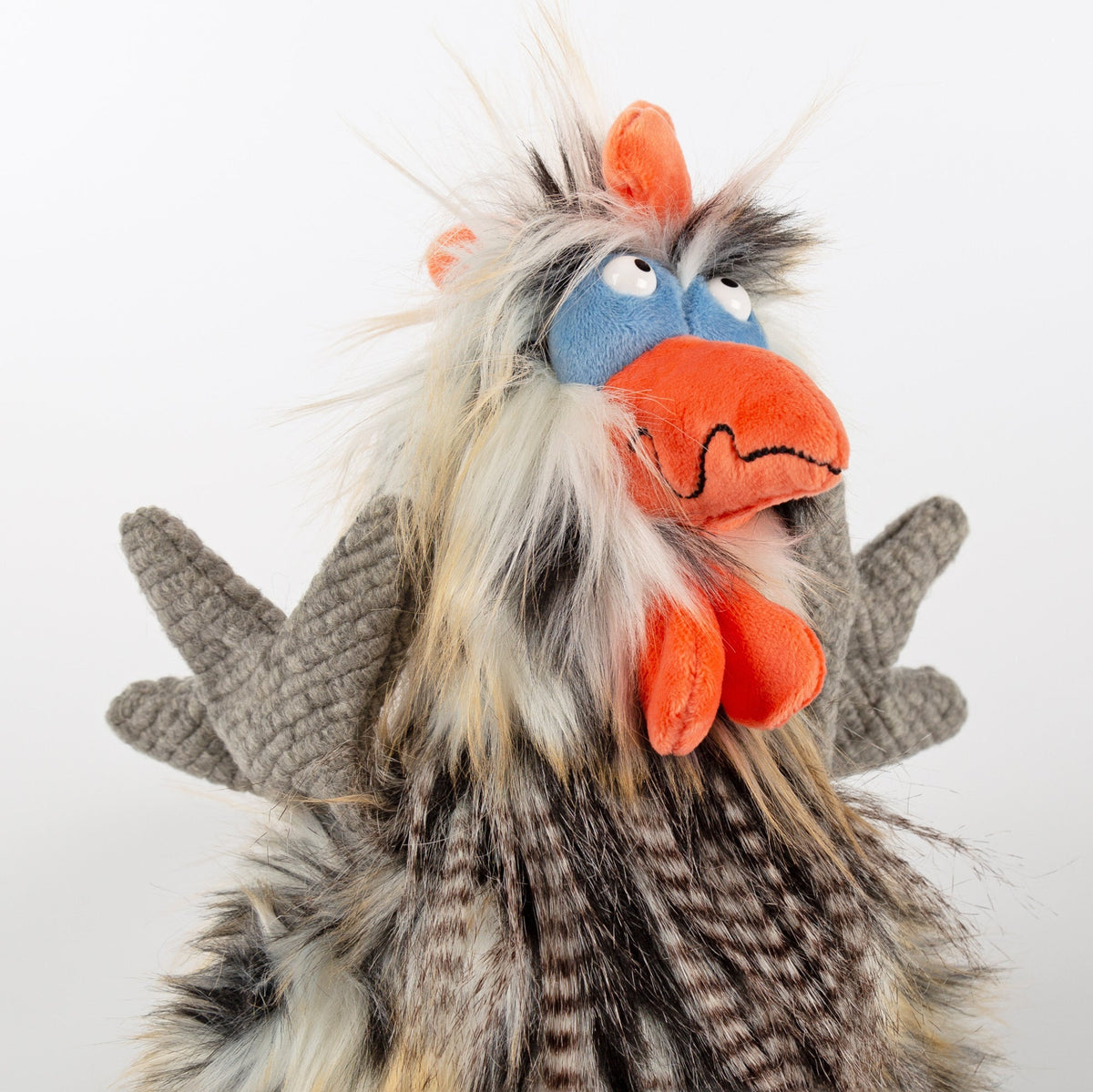 Tour De Poule | KiKeRiKi | The Baby Penguin