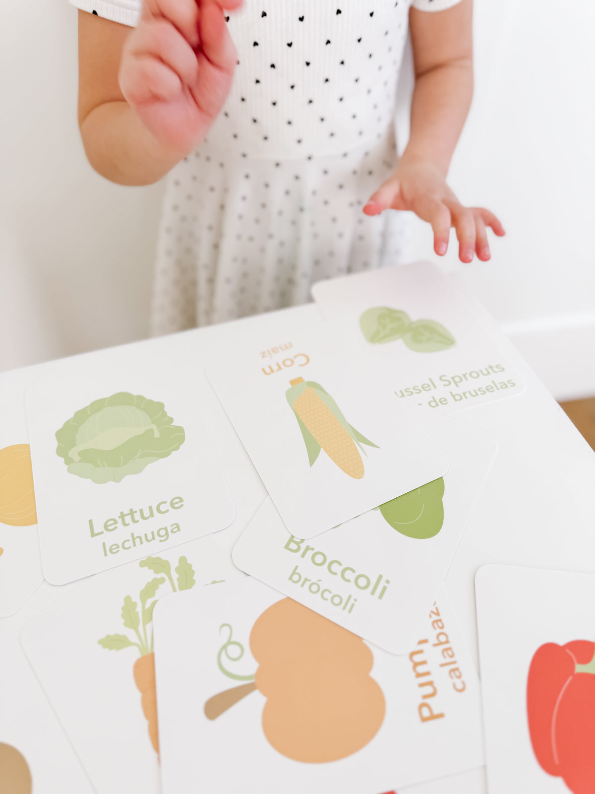 Vegetable Flashcards - The Baby Penguin