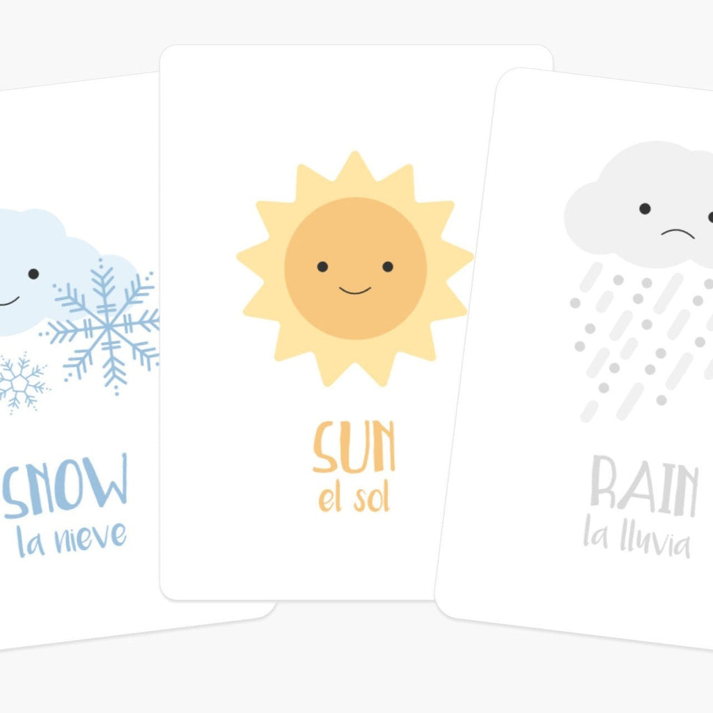 Weather Flashcards - The Baby Penguin