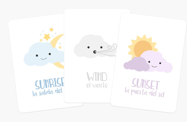 Weather Flashcards - The Baby Penguin