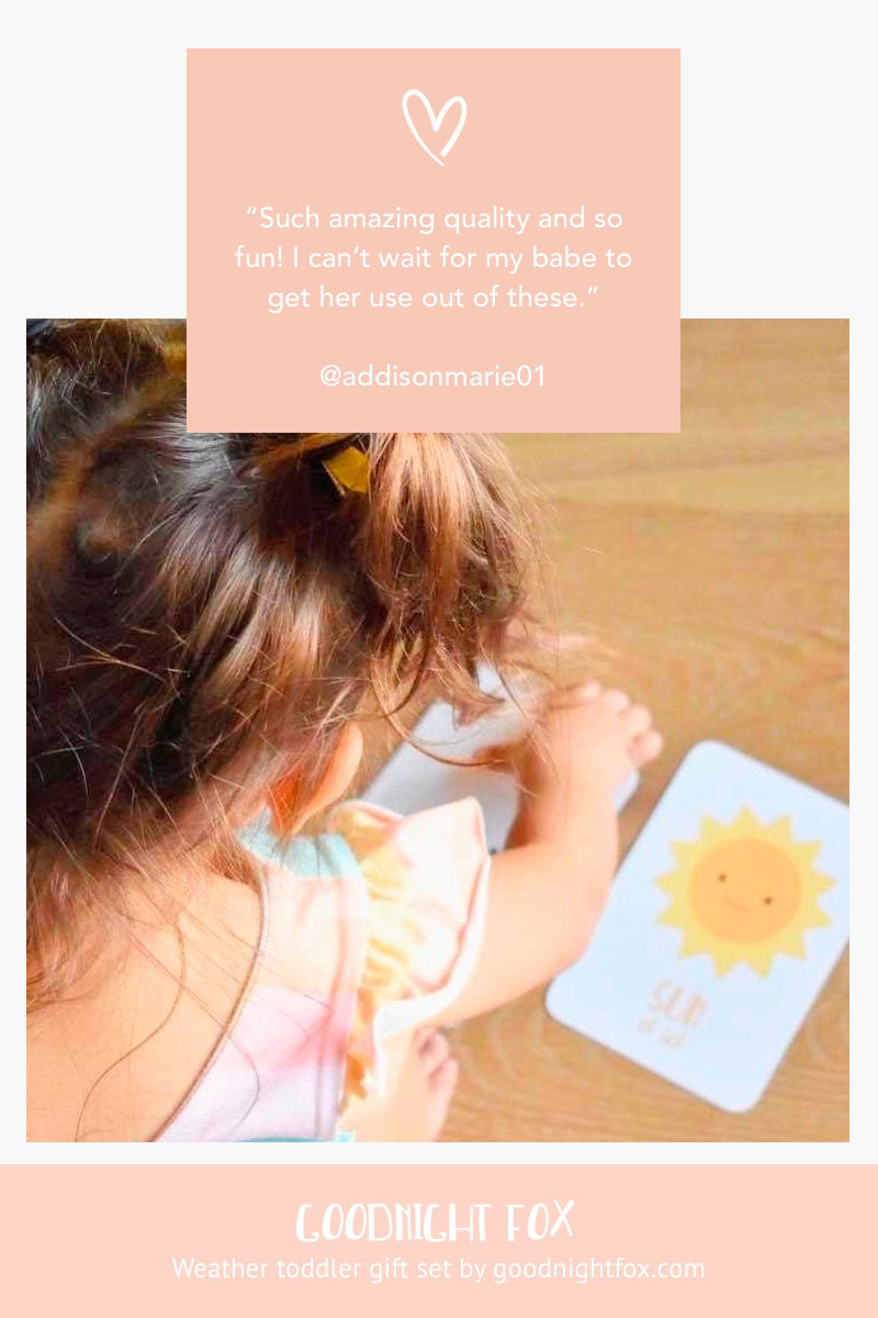 Weather Flashcards - The Baby Penguin